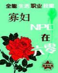 小说《寡妇NPC在六零》