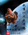 小说《我有一只战斗鸡》