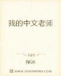 小说《我的中文老师》