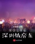 小说《梦回之苟在深圳做房东》