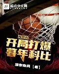 小说《NBA：开局打爆暮年科比》
