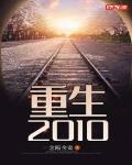 小说《重生2010》