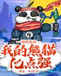 小说《神级选择：我的熊猫亿点强》