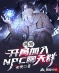 小说《网游：开局加入NPC聊天群》