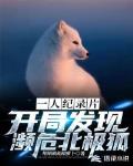 小说《一人纪录片：开局发现濒危北极狐》
