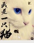 小说《我是一只猫》