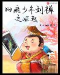 小说《网瘾少年刘禅之崛起》