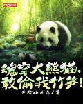 小说《魂穿大熊猫，敢偷我竹笋！》